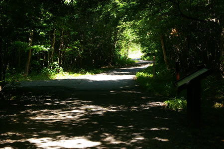 An asphalt trail intersects from the left and the current trail surface changes to asphalt. Turn left here.