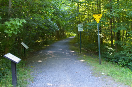 The trail continues through the woods.