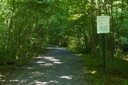 The trail continues in the woods.