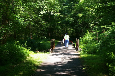 The trail crosses a bridge over Long Branch.