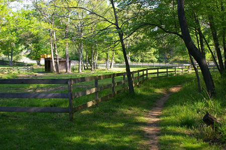 The CCT passes a fence on the left. At the end of the fence it crosses a road. If you are going onto the next section of the CCT go straight. Otherwise, turn right to cross the bridge over Difficult Run and return to the parking area.