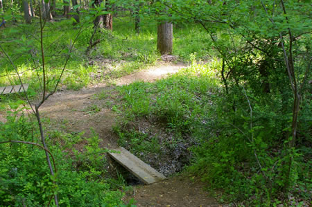 The trail crosses a narrow creek. It is too small to show on the map.