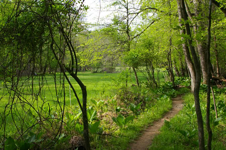 The trail follows a pasture on the left. The pasture is separated by a wire fence.