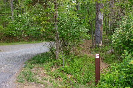 Turn right to follow the dirt trail along the gravel entrance road to Camp Crowell.