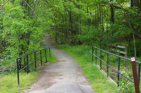 Turn left to follow the asphalt trail along Vale Rd.