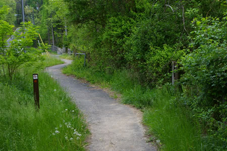 After crossing Difficult Run watch closely for a dirt trail on the right. Turn right onto this trail.