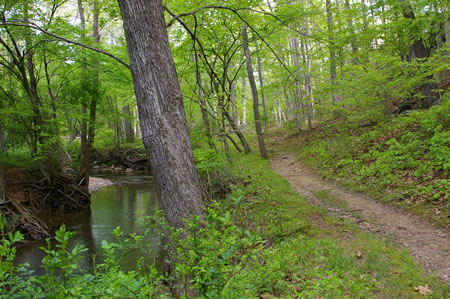 The trail passes close to Difficult Run for a short distance.