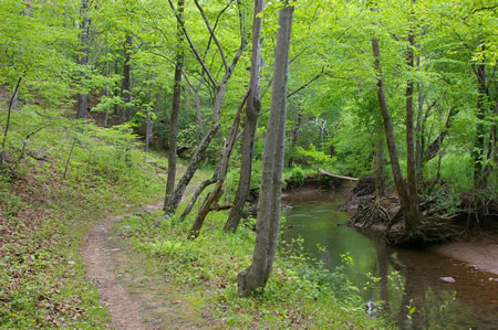 The trail passes close to Difficult Run for a short distance.