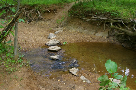 This section of the walk starts at this crossing of Rocky Run. Follow the dirt trail through the trees. The 2 pictures were taken on different days illustrating how the stream crossings change frequently.