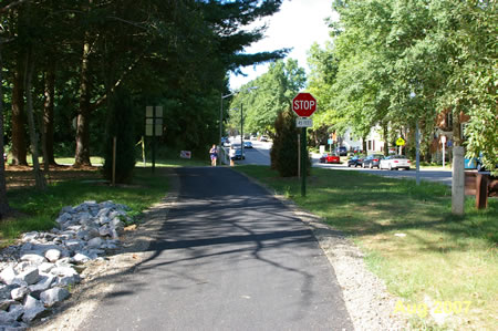 The walk ends at Danbury Forest Dr.