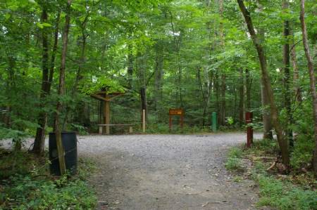 Turn left at the intersecting trail. You are now on the Cross County Trail.