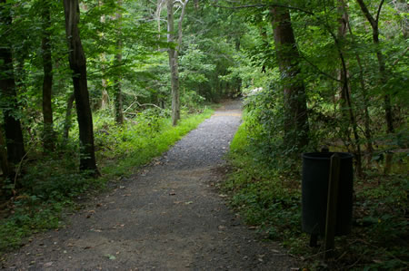 The trail passes through the woods and crosses over Accotink Creek.