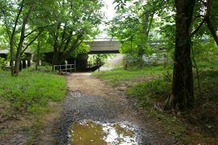 The trail crosses a bridge over a stream and goes under Braddock Rd. shortly thereafter.