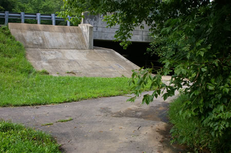 At the trail intersection turn right to pass under Braddock Rd.