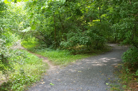 Stay on the hard surface trail to the right at the juntion with the dirt bicycle trail that goes straight.