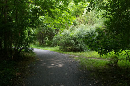 A dirt bicycle trail intersects from the right. Continue on the present trail.