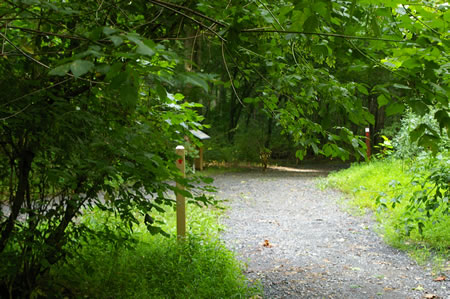 A trail carrying an alternate route intersects from the left. Continue straight on the present trail.