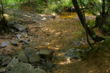 Close up of the creek crossing.