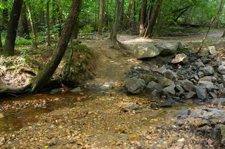 Close up of the creek crossing.