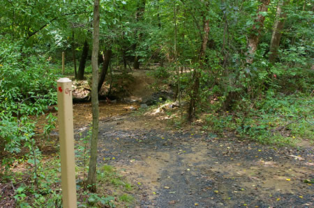 The trail crosses a creek.
