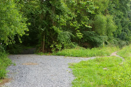 A trail intersects from the right just prior to a wooded area. Stay left to enter the wooded area.