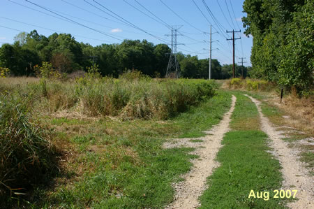 The trail follows vehicle tracks along the power line.