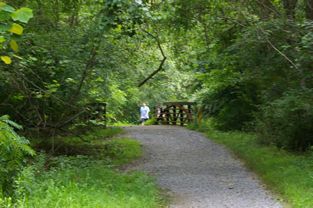 The trail crosses a side stream on a bridge.