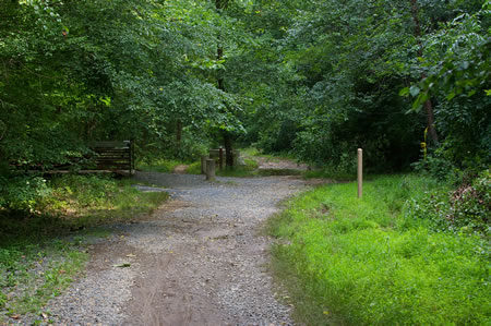 The trail turns left to cross a bridge over Accotink Creek.