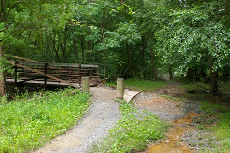 The trail turns left to cross Accotink Creek on a bridge.