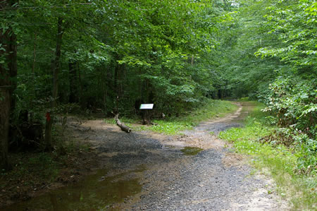 Turn left at the next trail intersection.