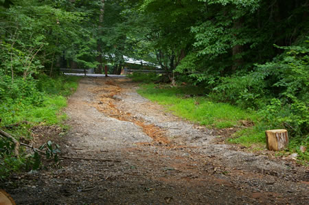 The connecting trail to Mockingbird Dr. is quite short.