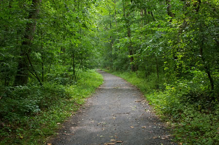 The alternate route passes through the trees on a hard surface trail.