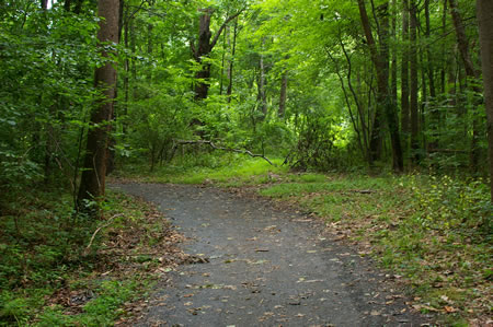 The trail turns left. A dirt trail from a maintenance area intersects on the right.