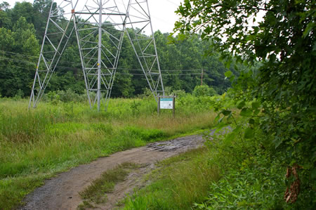 The trail enters a meadow. Notice the Project Habitat sign on the left.