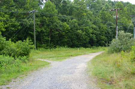 At the next trail intersection turn right to join the CCT at step 12.