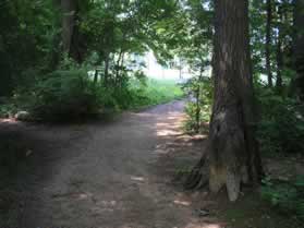 After a short distance a trail intersects.  If you reach the edge of a baseball field you have walked too far.