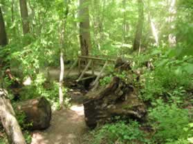 After a short distance the trail turns left to cross the bridge seen earlier.