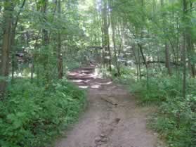 There are a number of wooden steps along the trail as it climbs the hill.