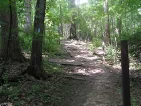 A nature trail intersects from the left.  Continue straight on the present trail.