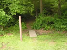 Take the 'Pine Ridge' trail on the west side of the parking lot.