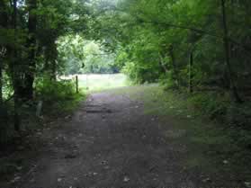 The trail comes to several intersecting trails.
