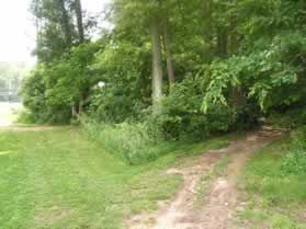 After crossing the dam turn right to enter the wooded section.