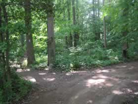 After a very short distance a trail intersects from the left.  Take the dirt service road to the right.