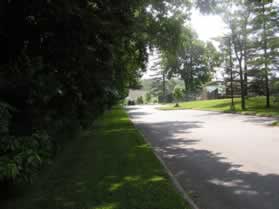 Turn left and follow the park connector road toward the Indoor Ice Rink.