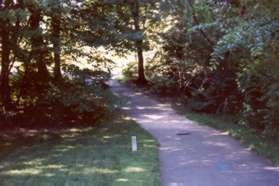 Turn right onto the wide asphalt trail at the cul-de-sac.  After walking between the houses turn right onto the next asphalt trail.