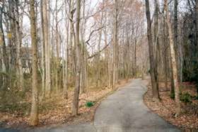 The trail enters the woods with houses on the right.  Continue straight at the next trail intersection.