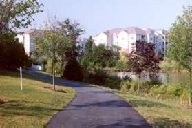 The trail follows the pond on the right.