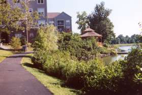 The trail continues to circle the pond.