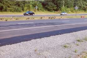 These geese in the median walk across the Parkway in front of cars.