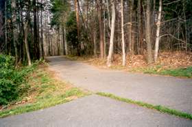 Turn left at the wide asphalt trail at the top of the hill.